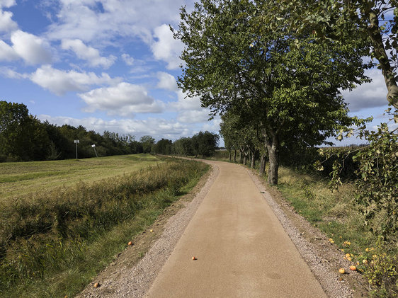 Ansicht des fertiggestellten Radweges | © M.E. Klaß - SALEG mbH